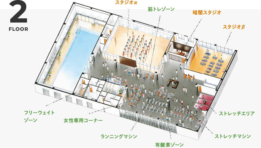 1 FLOOR