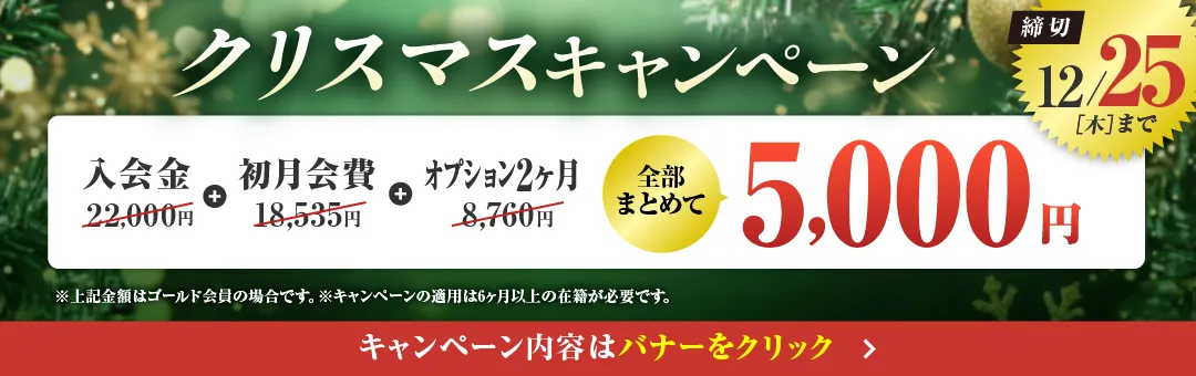 12月キャンペーンバナー_F版