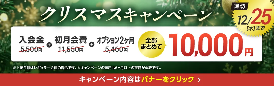12月キャンペーンバナー_C版豊田