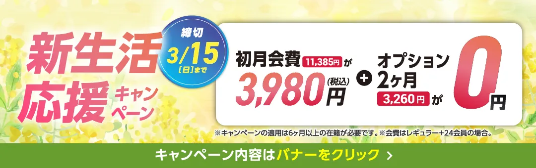 3月前半キャンペーンバナー_D版白壁