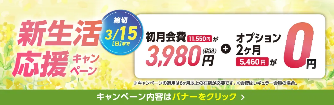 3月前半キャンペーンバナー_E版MS豊田