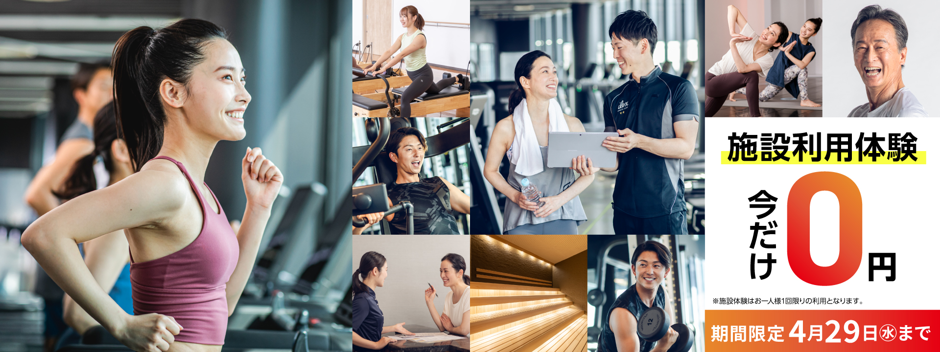 アイレクス マイスタイル+24 白壁