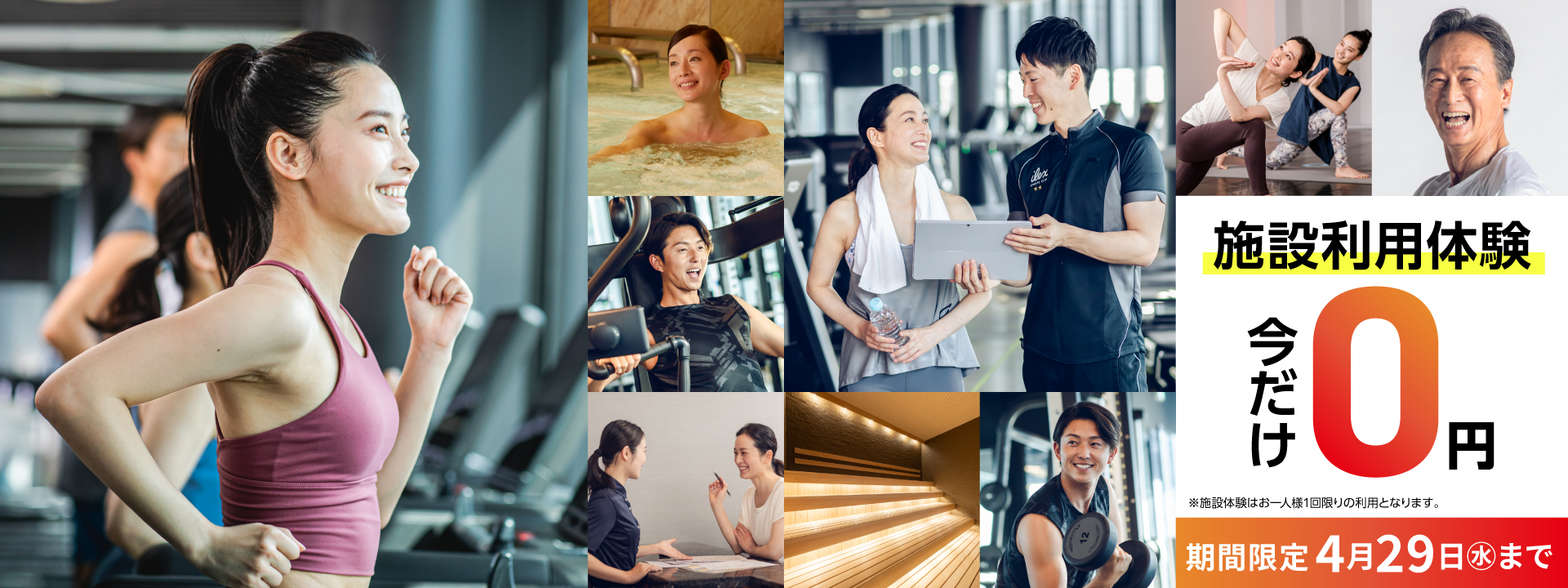 アイレクス マイスタイル+24 白壁