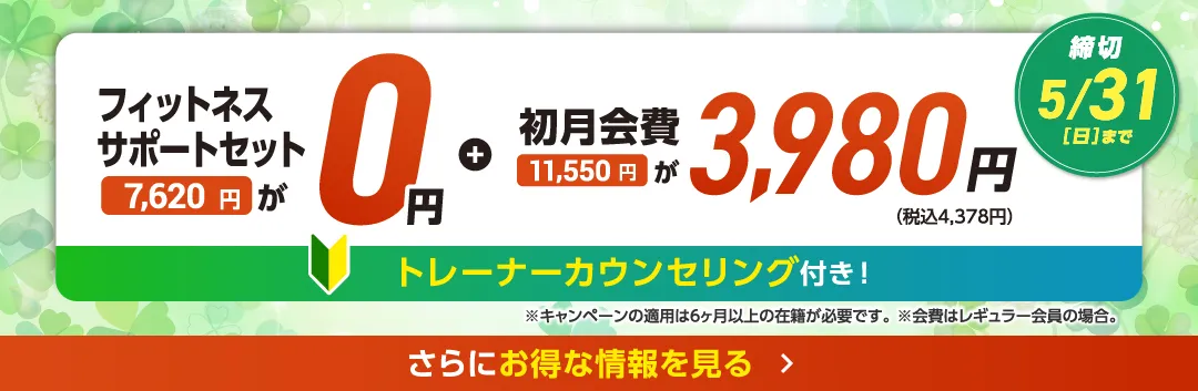 5月後半キャンペーンバナー_E版MS豊田