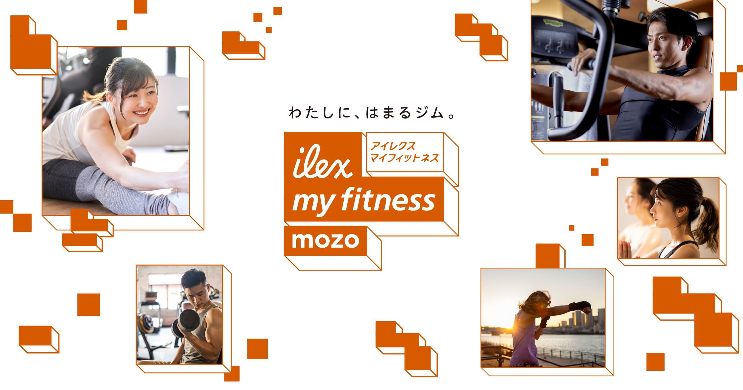 アイレクス マイフィットネスmozo