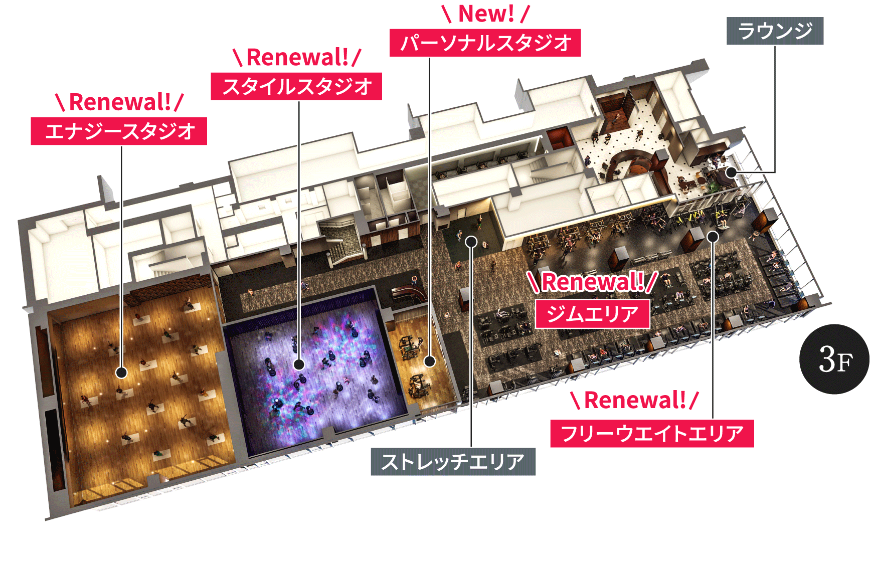 アイスクススポーツクラブ 3階 フロアマップ