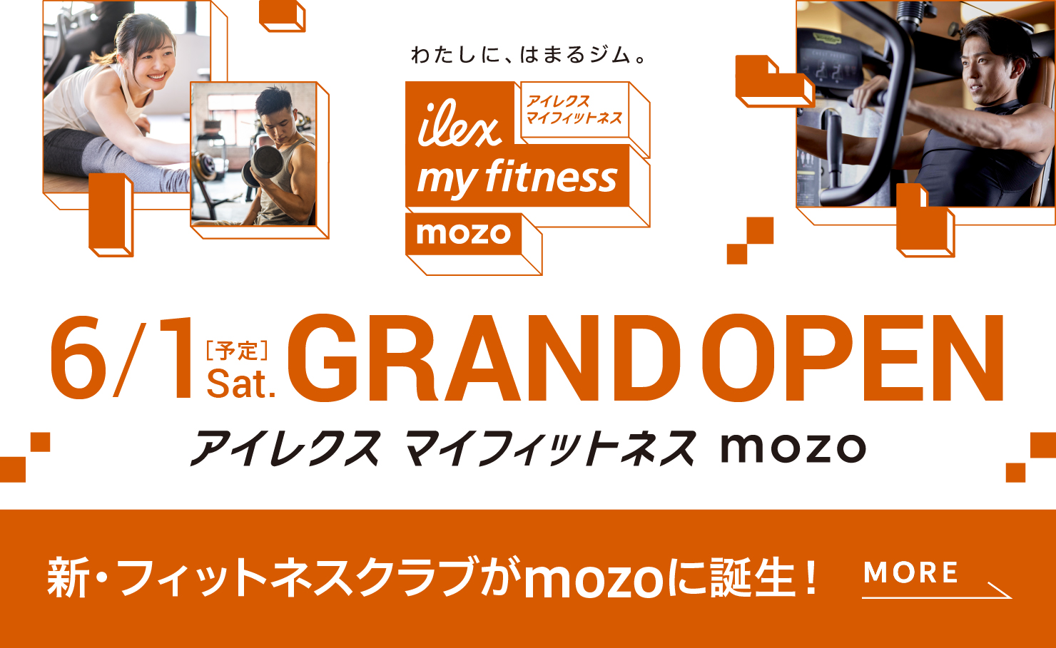 アイレクス マイフィットネスmozo