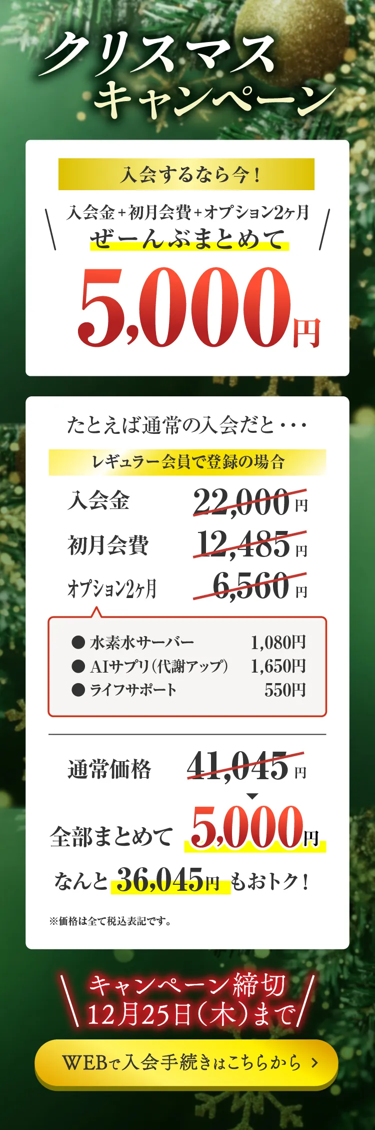 キャンペーン詳細