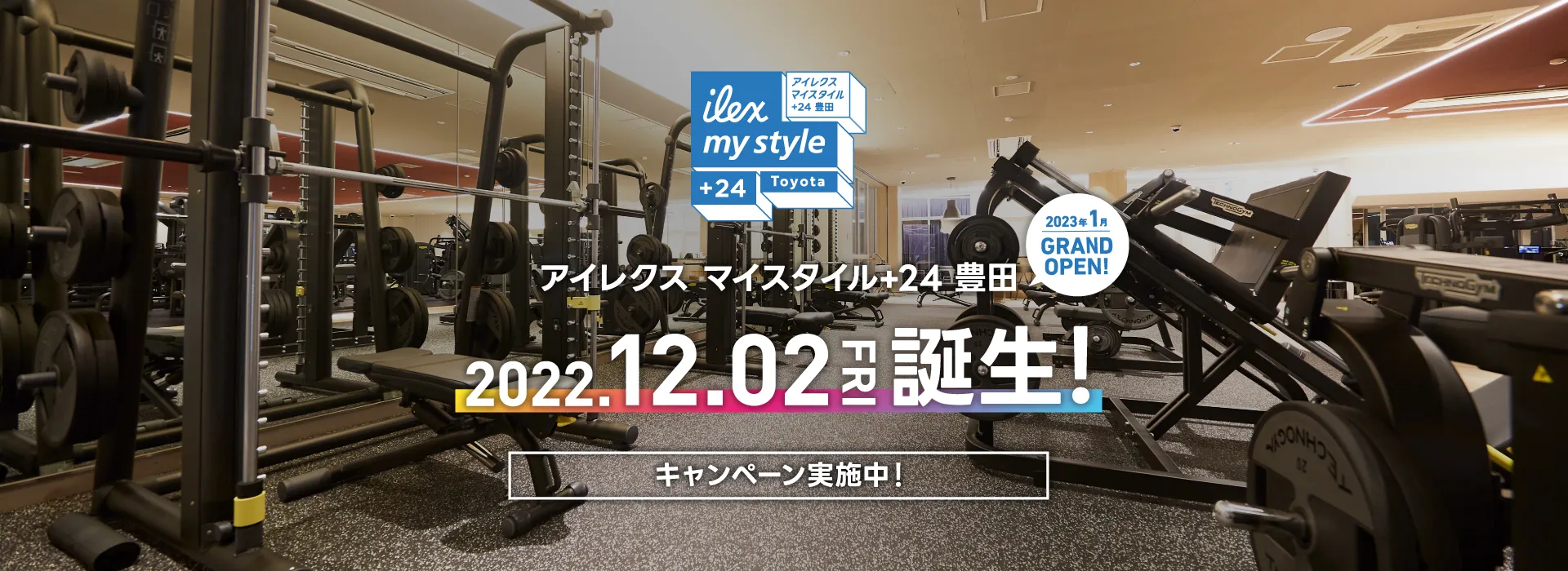 マイスタイル+24 豊田 フリーウェイト