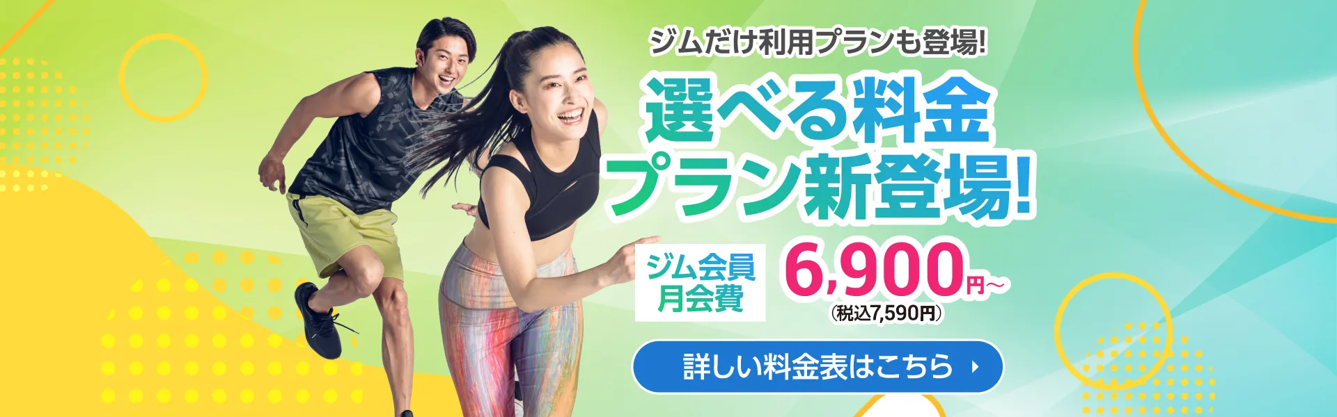 アイレクスマイスタイル+24 豊田